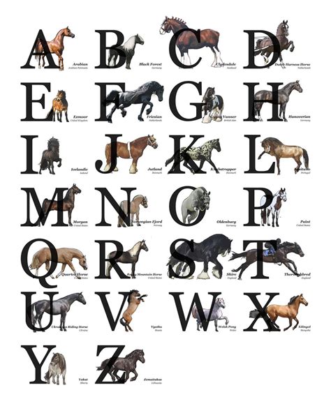 a to z horses running today|Today's ABC Guide of horses .